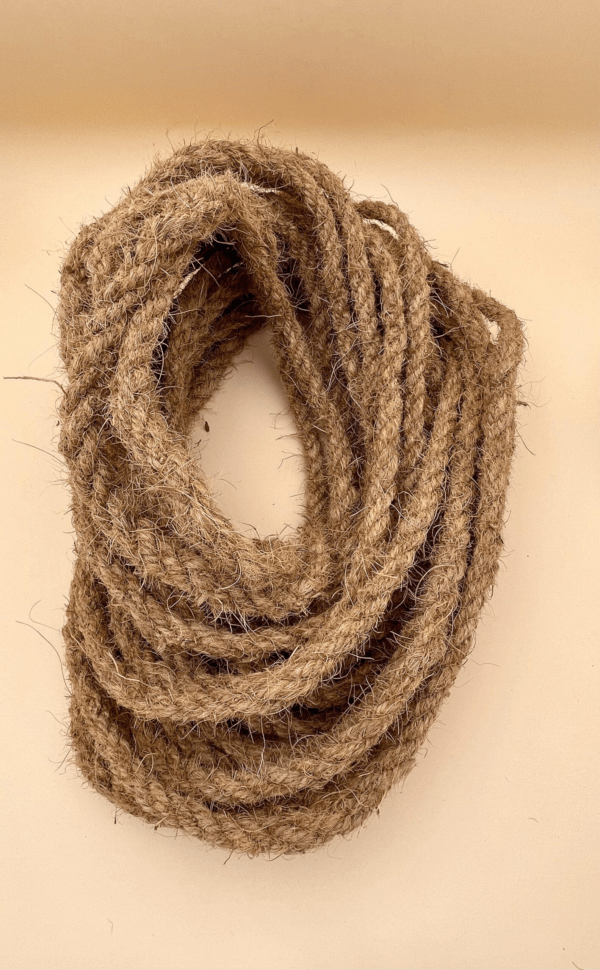 image 2026 01 04 035736042