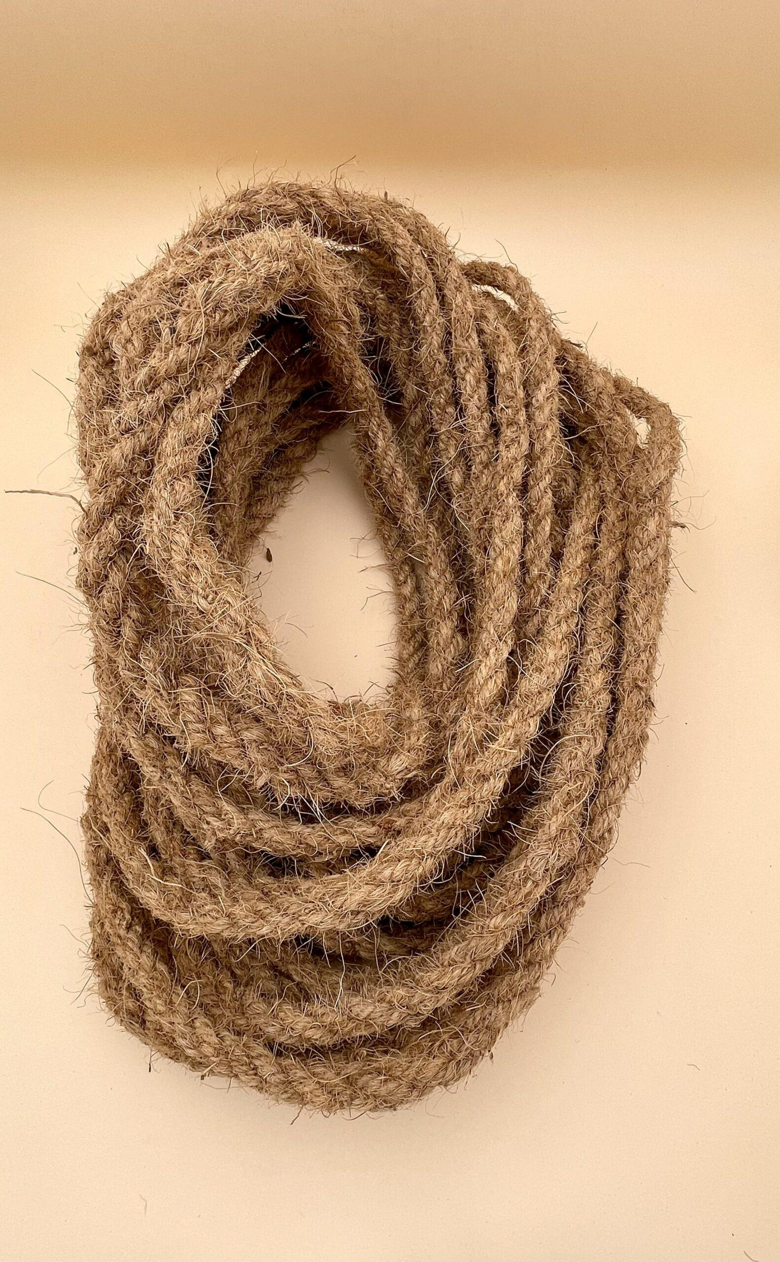 image 2026 01 04 035736042