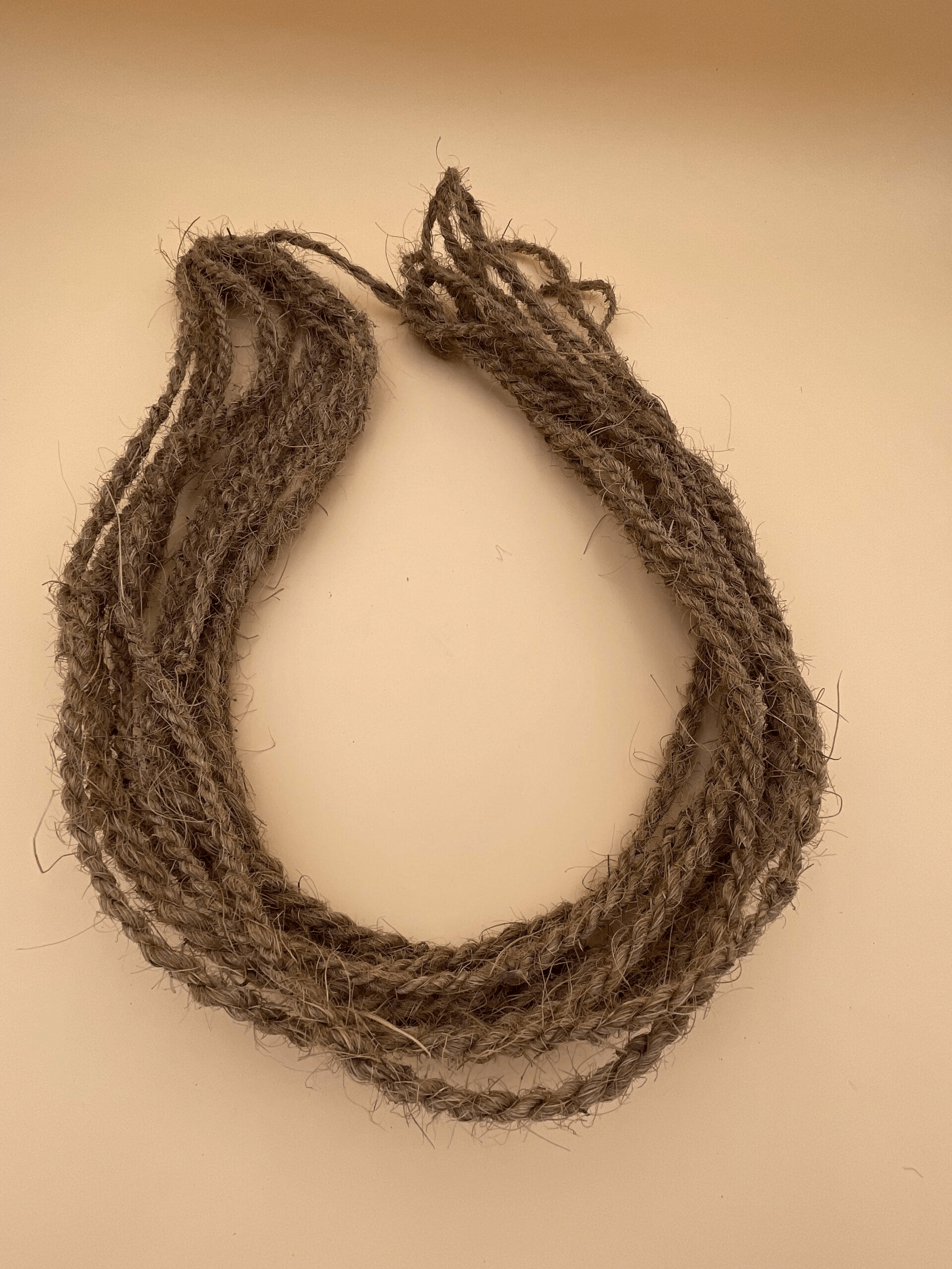 image 2026 01 04 035813052