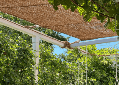 image 2026 01 09 131509230